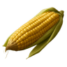 sweet_corn