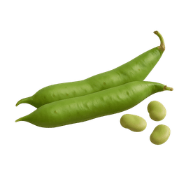 Feijão-verde