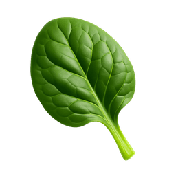 पालक